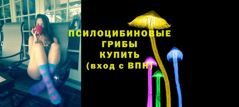 что такое наркотик  Воронеж  Псилоцибиновые грибы Cubensis 